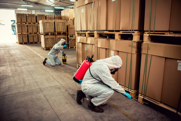 Best Affordable Pest Control Services  in Bristol, FL