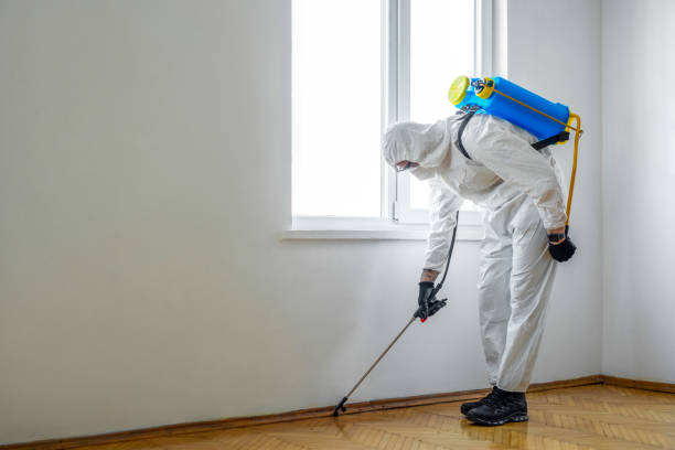 Best Pest Removal Services  in Bristol, FL