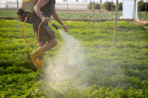 Best Pest Control Near Me in Bristol, FL