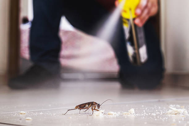 Professional Pest Control in Bristol, FL