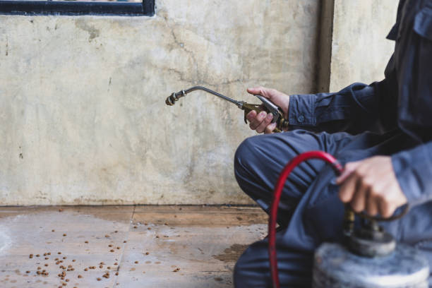 Best Pest Inspection Near Me  in Bristol, FL